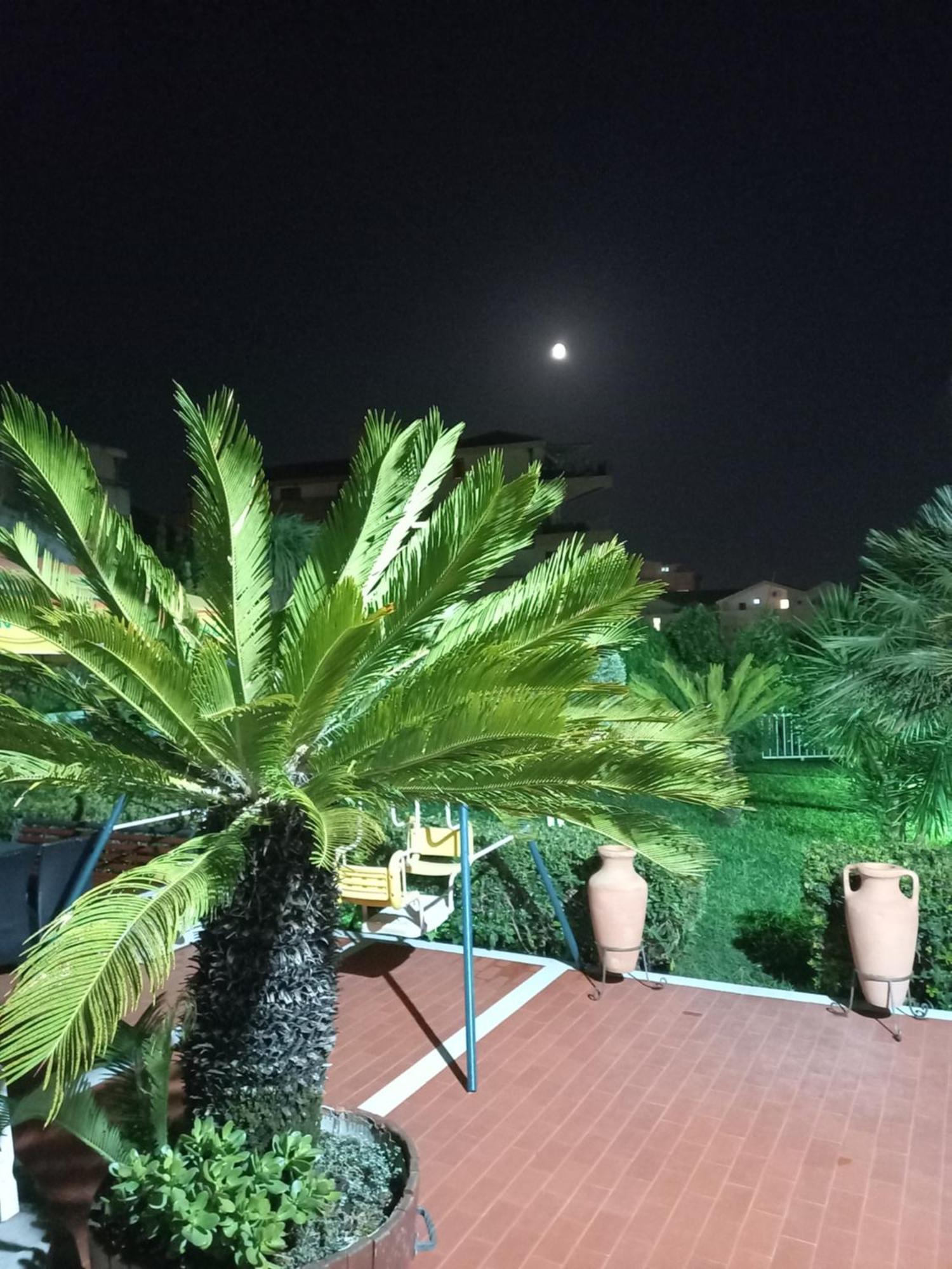 Vila L Budva Hotel Eksteriør billede